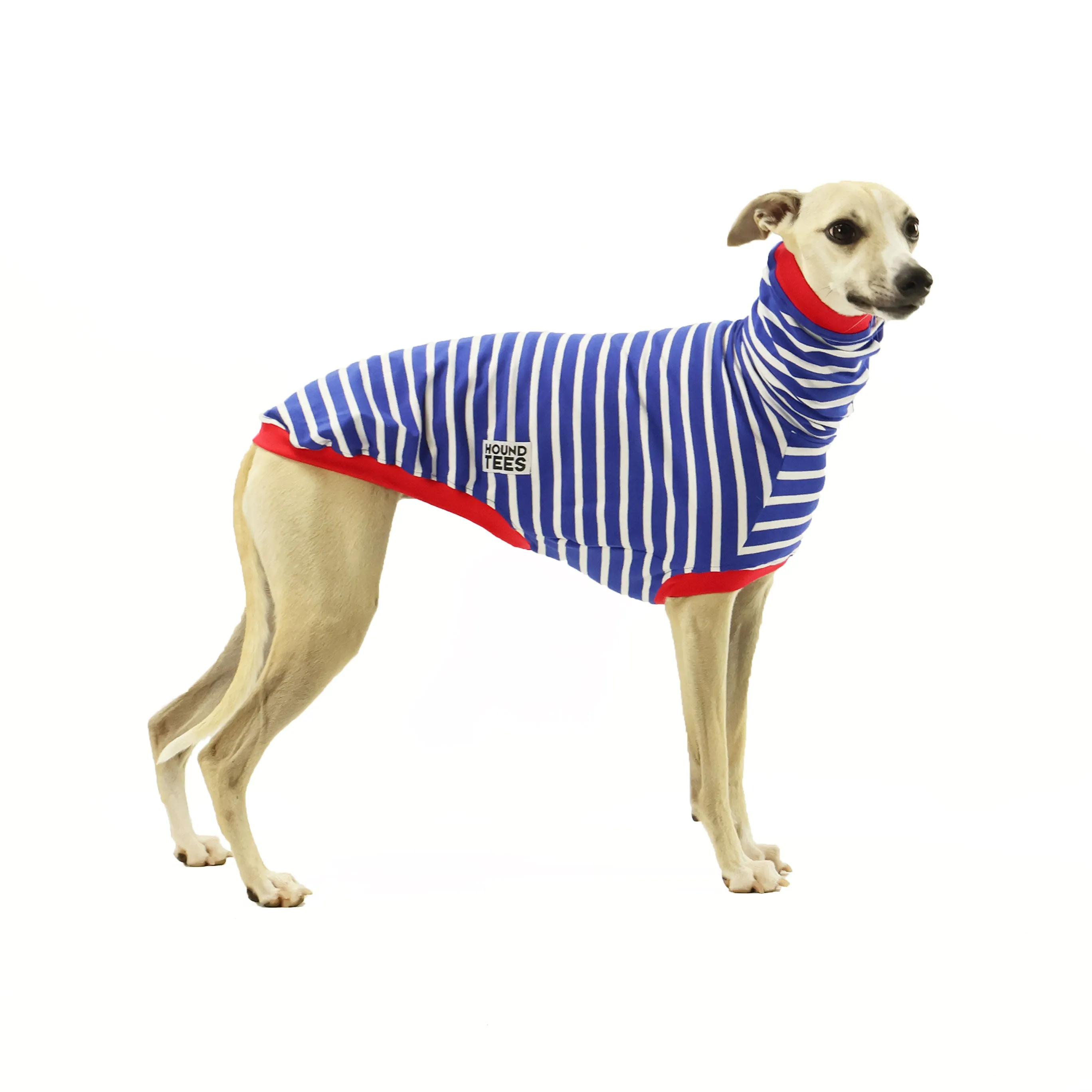Blue Breton Whippet Sleeveless Hound-Tee